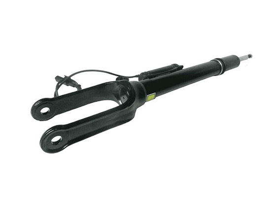 A2513203013 Frente izquierda derecha núcleo de amortiguación de aire para Mercedes W251 R350 R500 06-13