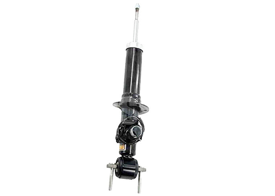 AST84827 AST84828 para Lincoln Navigator Ford Expedition 2018-2023 Absorción de choques eléctricos delantera.
