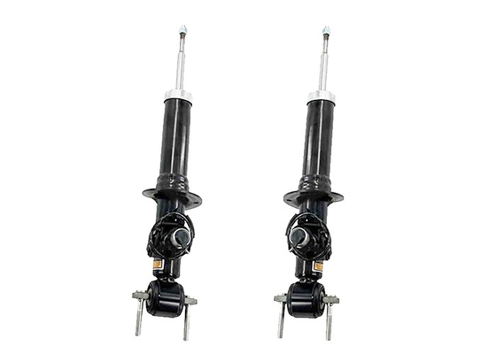 AST84827 AST84828 para Lincoln Navigator Ford Expedition 2018-2023 Absorción de choques eléctricos delantera.